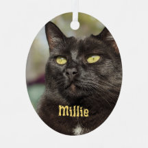 Personalisierte Katzenverzierung