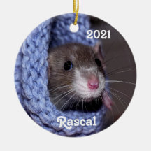 Personalisierte Niedliche Babyratte