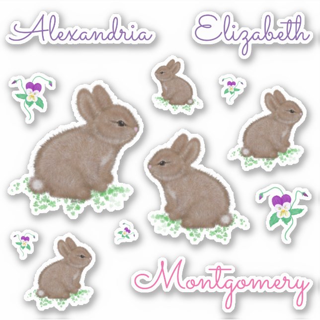 Personalisierte Niedliche Cottontail Bunnies und B Aufkleber (Vorderseite)