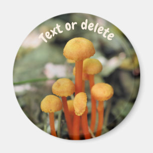 Personalisierte Orange Pilze Natur Magnet