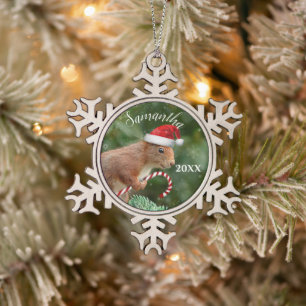 personalisierte Ornament des Weihnachtseichhörnch