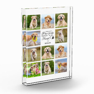 Personalisierte Paw druckt Memorial Foto von meine