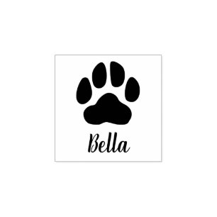 Personalisierte Pet-Signatur Druckkautschuk-Briefm Gummistempel