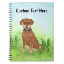 Personalisierte Schokolade Labrador Mix