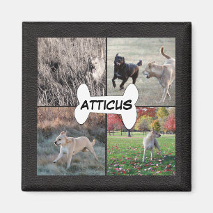 Personalisierte schwarze lederne HundeFotos Magnet