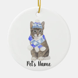 Personalisierte Tabby Cat (grau) Blue Ski Hat & Sc Keramik Ornament
