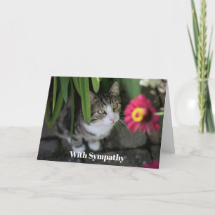 Personalisierte Trauerkarte für Katzen - Gedenken  Karte