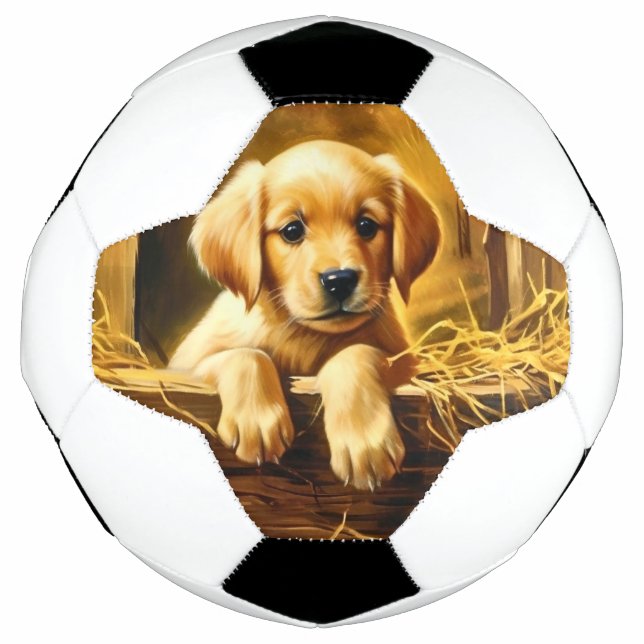 Personalisierte Trophy Soccer Ball (Vorderseite)