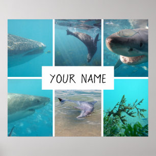 Personalisierte Unterwassertiere Australien Poster