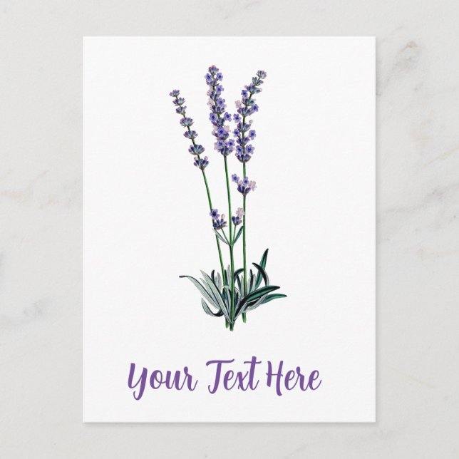 Personalisierte Vintage Lavendel-Blume Postkarte (Vorderseite)