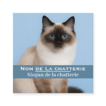 Personalisierte Visitenkarte elegante Katzenzucht