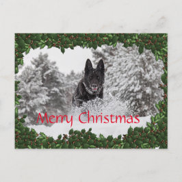 Personalisierte Weihnachtspostkarte mit schwarzem  Feiertagspostkarte