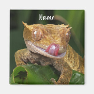 Personalisierte Zecko-Lizard Magnet