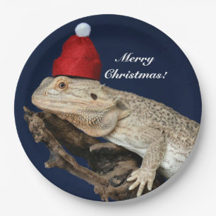 Personalisierter Bartdrachenechse - Weihnachtsmann Pappteller