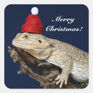 Personalisierter Bartdrachenechse - Weihnachtsmann Quadratischer Aufkleber
