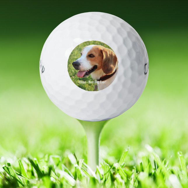 Personalisierter Beagle Foto- und Dogenname Golfball (Von Creator hochgeladen)