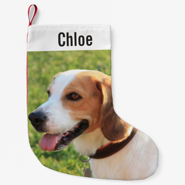 Personalisierter Beagle Foto- und Dogenname Kleiner Weihnachtsstrumpf (Vorderseite)