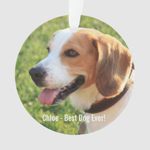 Personalisierter Beagle Foto- und Dogenname Ornament