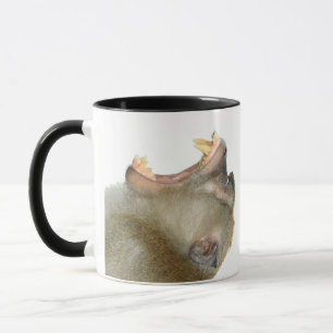 Personalisierter Becher - Hol mir ein Getränk! Aff Tasse