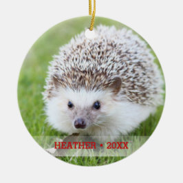 Personalisierter Begleiter Igel Foto Weihnachtsbau Keramik Ornament