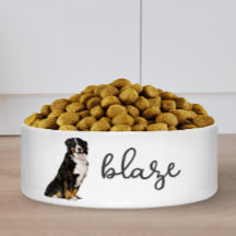 Personalisierter Berner Hundesatz