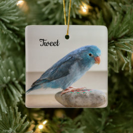Personalisierter Blauer Parrotlet-Bird Keramikornament