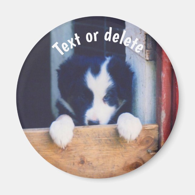 Personalisierter Border Collie Welpe Magnet (Vorne)