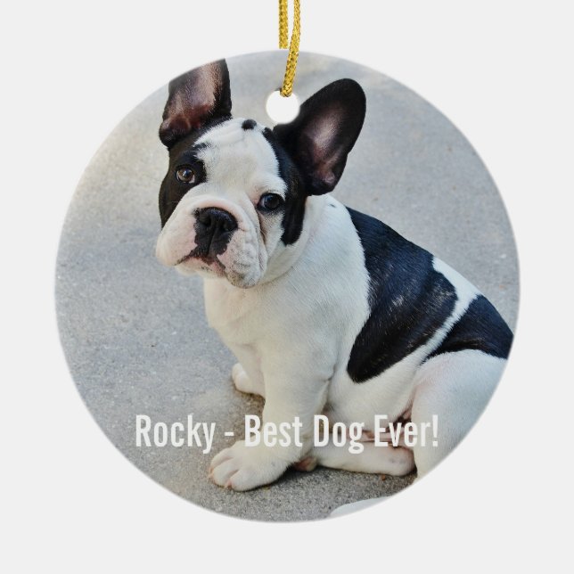 Personalisierter Bulldoggen-Foto-und Keramikornament (Vorne)