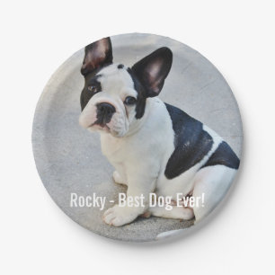 Personalisierter Bulldoggen-Foto-und Pappteller