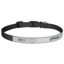 Personalisierter Christlicher Pet Collar