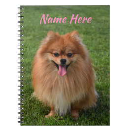Personalisierter Fluffy Brown Spitz Dog Notizblock