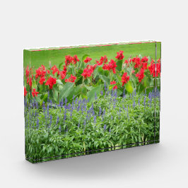 Personalisierter Foto