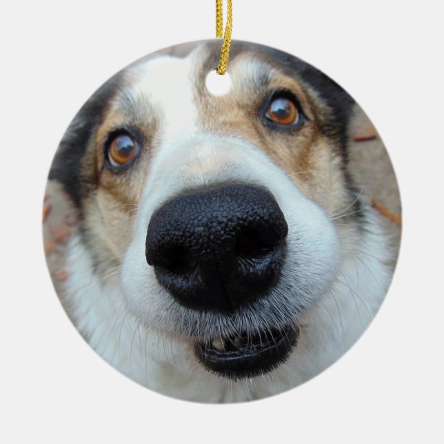 Personalisierter Foto-Hundeschluss über benutzerde Keramik Ornament (Vorne)