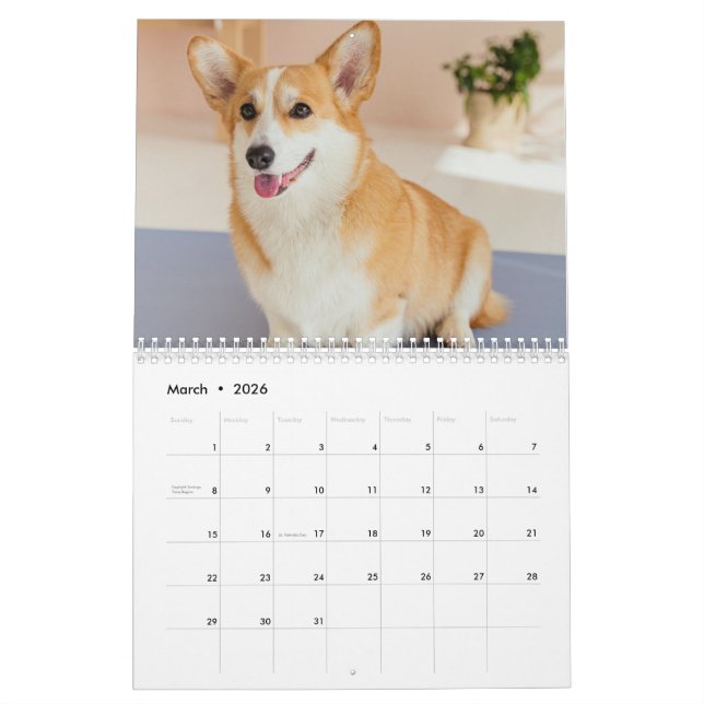 Personalisierter Funny Corgi Dog Foto-Kalender Kalender (Mär 2026)