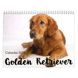 Personalisierter Golden Retriever Kalender 2023