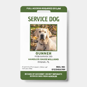 Personalisierter grüner weißer Servicehund Fotoaus Ausweis