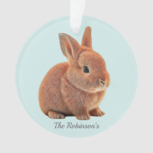 Personalisierter Hase auf Hellblau Ornament