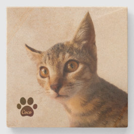 Personalisierter Hauskatze Katze Katze Foto Vorlag Steinuntersetzer