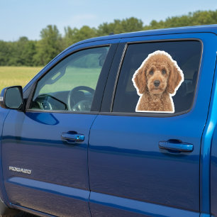Personalisierter Haustier-Foto-Autoscheibenaufkleb Aufkleber