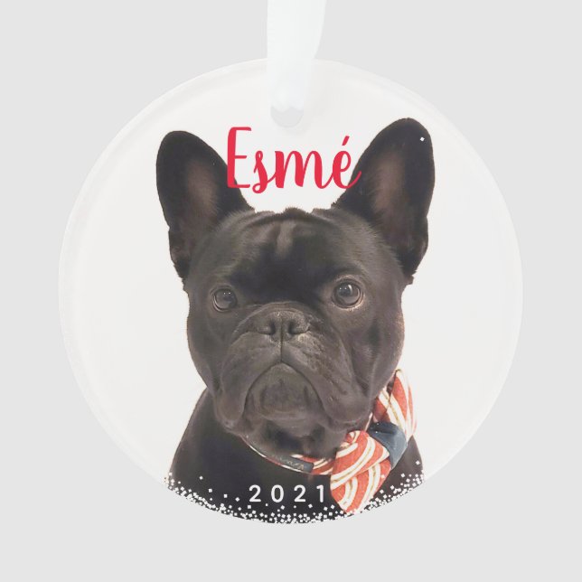 Personalisierter Haustier Hund Welpen Urlaub Foto  Ornament (Vorderseite)