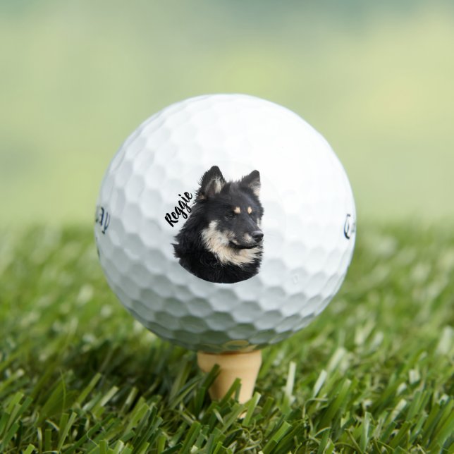 Personalisierter Haustier-Porträt-Golfball | Benut Golfball (Insitu T-Shirt)