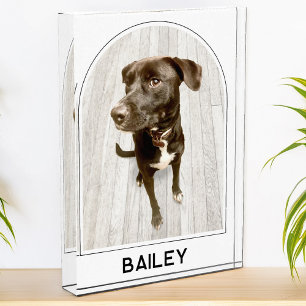 Personalisierter Haustiername Moderne Architektur Fotoblock