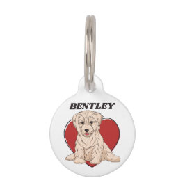 Personalisierter Havanese Puppy Hund Lover Custom  Haustiermarke