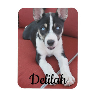 Personalisierter Hund | Foto von Haustieren Magnet