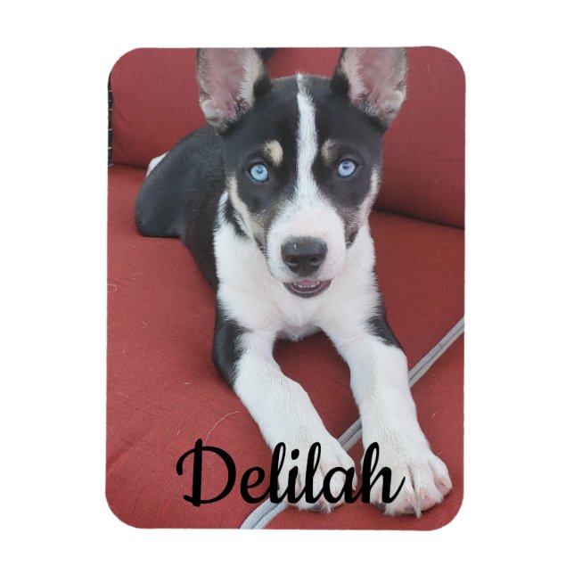Personalisierter Hund | Foto von Haustieren Magnet (Vertikal)