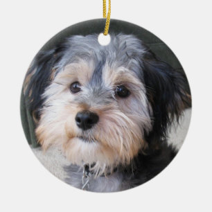 Personalisierter HundeFoto-Rahmen - DOPPELSEITIG Keramik Ornament