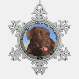 Personalisierter Hundeplan Mein Favorit Hallo Schneeflocken Zinn-Ornament