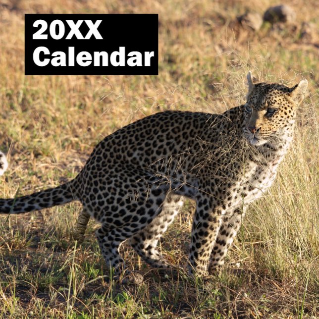 Personalisierter Kackend Tierkalender 2025 Kalender (Von Creator hochgeladen)