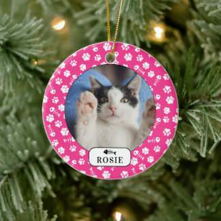 Personalisierter Katzenfisch Knochen und Pawprint  Keramik Ornament