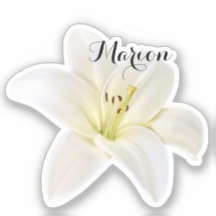 Personalisierter Lippensticker